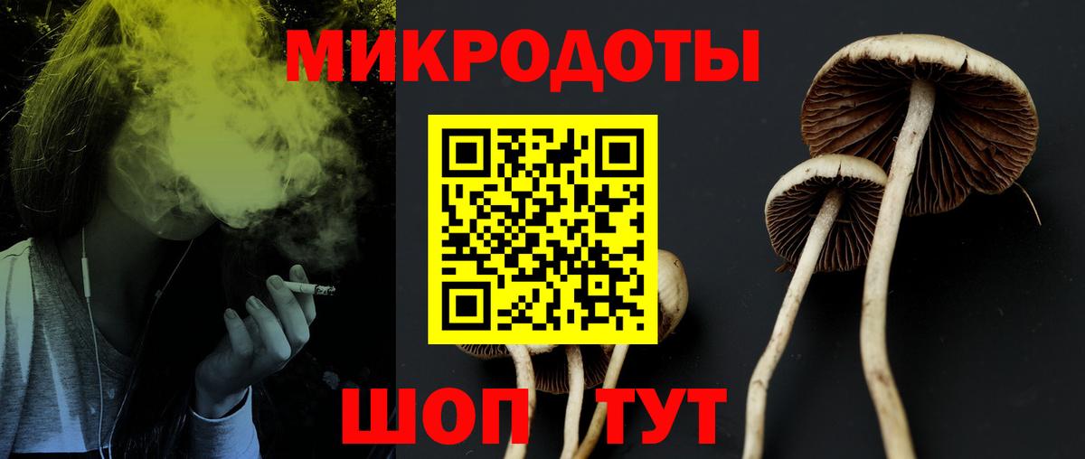 Псилоцибиновые грибы Cubensis Дятьково