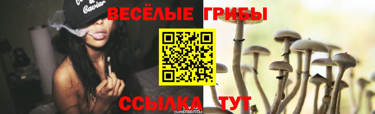 где продают наркотики  Галлюциногенные грибы мицелий  Псилоцибиновые грибы прущие грибы  Вход с VPN  Дятьково 